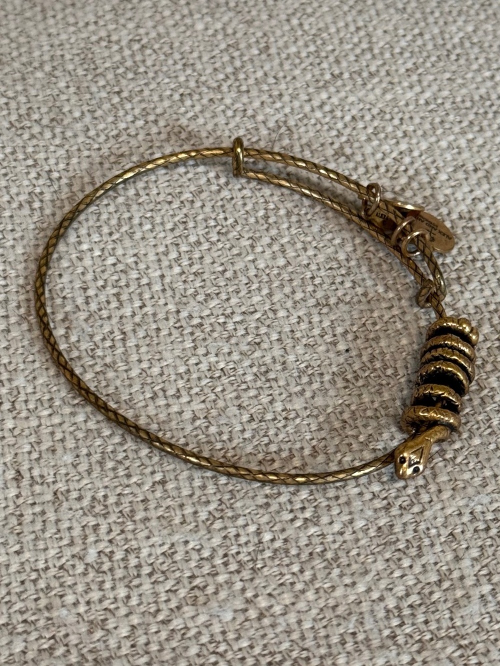 Alex and Ani snake bracelet